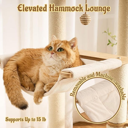 Modern Solid Wood Cat Tree for Indoor Cats Up to 15lbs, 49" Tall Cat Tower with Scratching Posts & Scratcher, Large Cat Bed, Hammock, Capsule Nest, Dangling Ball, Multi-Level Cat Furniture