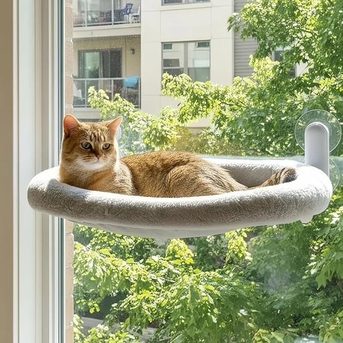 Cat Window Perch with Suction Cups- Cordless,Ultra Soft Machine Washable Bed with 4-Sided Bolster, Strong Hold for Large Cats up to 40lbs Window Hammock for Large Cats and Kittens(Gery,M)
