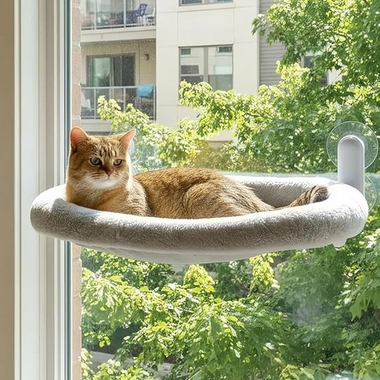 Cat Window Perch with Suction Cups- Cordless,Ultra Soft Machine Washable Bed with 4-Sided Bolster, Strong Hold for Large Cats up to 40lbs Window Hammock for Large Cats and Kittens(Gery,M)