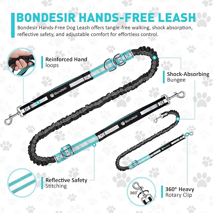 Waist Leash for Double Dog Walking 2 Medium and Large Dogs; Shock-Absorbing, No Pull, No Tangle, Heavy Duty, Hands-Free Double Bungee 2 Dog Leash; Hiking, Walking, Running Gear with Multiple Pockets
