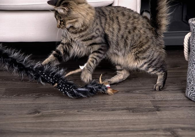Petlinks Plume Crazy Wand Cat Toy - Randomly Selected Color, One Size