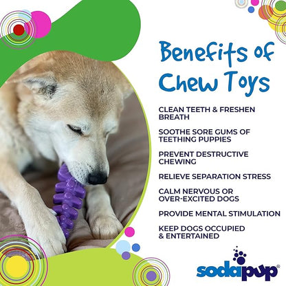 SodaPup Fish Bone – Durable Dog Chew Toy Made in USA from Non-Toxic, Pet Safe, Food Safe, Nylon Material for Mental Stimulation, Clean Teeth, Fresh Breath, Problem Chewing, Calming Nerves, & More