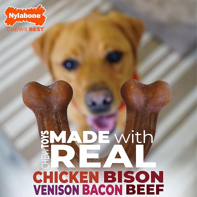 Nylabone Strong Chew Dog Toy 4-Pack Made with Real Bacon, Bison, Venison, Beef, & Chicken, Durable Chew Toys for Aggressive Chewers, Long Lasting Dog Bone, Small Breeds - Up to 25 lbs, 4 Count
