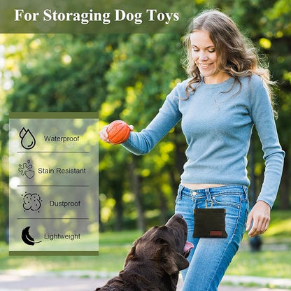 2Pcs Dog Treat Pouches for Pet Training, Hand Free Puppy Dogs Treat Bag with Carabiner, Portable Auto Closing Pet Dog Walking Bag for Travel or Outdoor Use, Pets Feed Snack Reward Pocket- Pink, Green