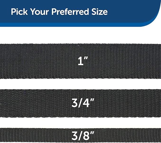PetSafe Nylon Leash - Strong Dog Leash for Everyday Use - Secure & Simple Design for Reliable Control - Lightweight with Durable Hardware - 3/4 Inch - 6 Feet - Black