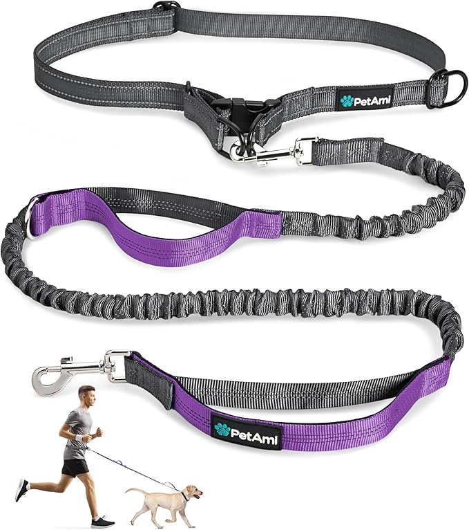 PetAmi Hands-Free Dog Leash for Walking, Running & Hiking, Heavy Duty Bungee Waist Leash with Dual Padded Handles, Adjustable Reflective Belt for Small, Medium & Large Dogs up to 150 lbs, Purple