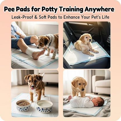 MoMoCo Pink Puppy Pads 23" x 23", 6-Layer Super Absorbent Dog Pee Pads, Leak-Proof Training Pads for Hardwood Floors & Apartments, Flash-Dry Disposable Potty Pads for Puppies & Senior Dogs, 100 Count