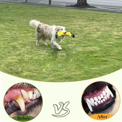 ASOCEA Dog Pool Toys,2-in-1 Dog Water Toys Interactive Tug Toys for Small to Large Dogs Bite Resistant Squeaky Floating Toy Perfect for Dock Diving Training Fetching Throwing Playing