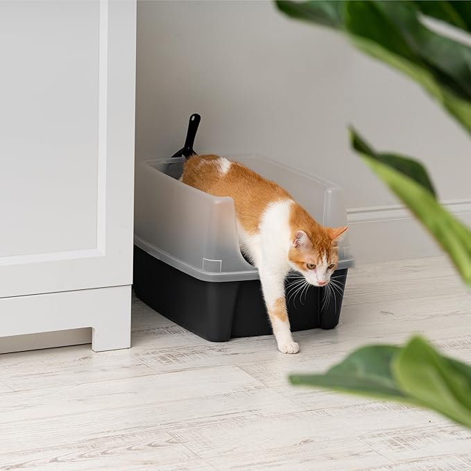IRIS USA Large Open Top Cat Litter Box with High Sided Walls Tall Scatter Shield Scoop Included Easy Clean Plastic Pan Stain Resistant for Big Cats Kittens Indoor Multi-Cat Households