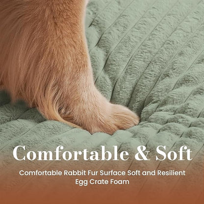 Orthopedic Dog Bed Medium Size Dog, Pet Beds with Waterproof Lining, Soft Short Plush Surface & Egg Crate Foam, Machine Washable Pet Mat with Removable Cover & Anti Slip Bottom