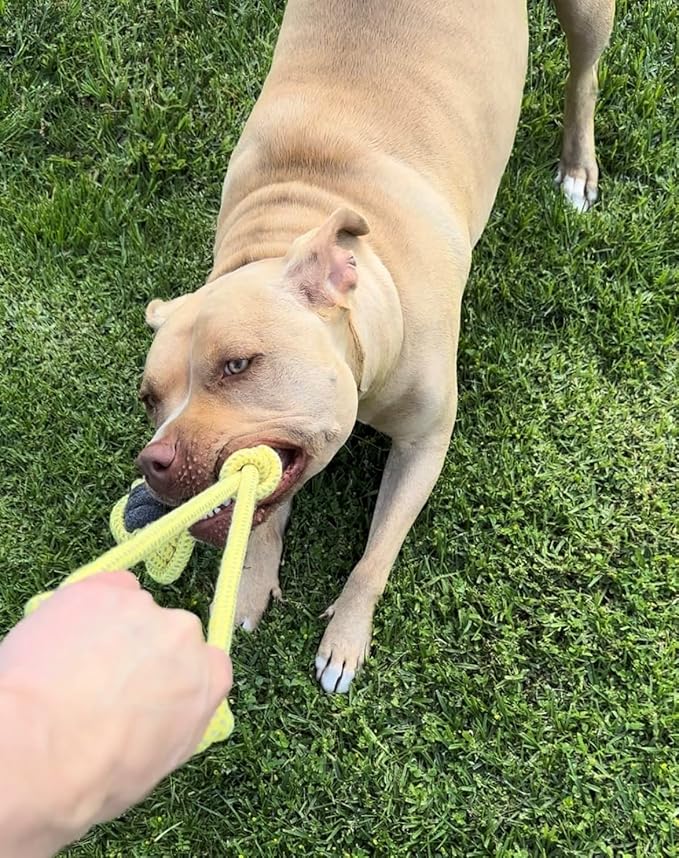 ALLUM Dog Rope Toys with Knotted Ball and Handle - Interactive and Stimulating Dog Toys & Puppy Toys - Dog Toys for Boredom - Ball on Rope (Pink)