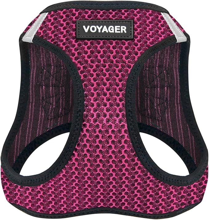 Best Pet Supplies Voyager Step-in Air Harness - All Weather Mesh, Reflective, No Pull Harness for Dogs, Cats - Secure with Hook & Loop Fastener, Buckle, Double D-Rings - Fuchsia 2-Tone, S