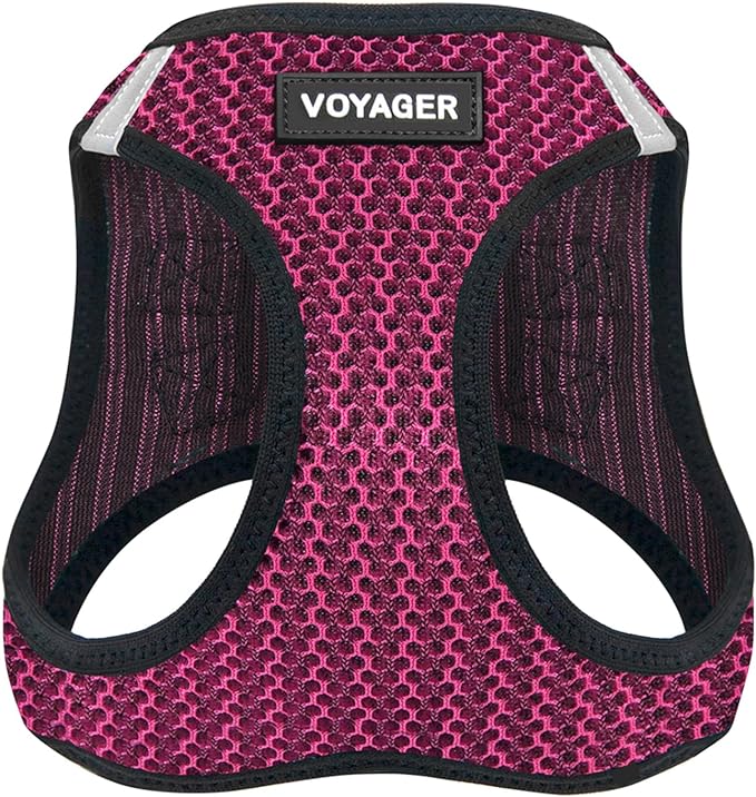 Best Pet Supplies Voyager Step-in Air Harness - All Weather Mesh, Reflective, No Pull Harness for Dogs, Cats - Secure with Hook & Loop Fastener, Buckle, Double D-Rings - Fuchsia 2-Tone, L