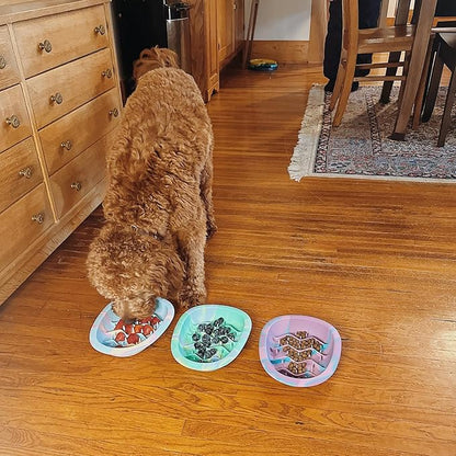 CHEWFFON Easter Dog & Cat Lick Mat Bowls, BPA-Free Silicone Slow Feeder Bowl with Suction Cups, Non Slip Pet Food Bowl Reduces Boredom and Anxiety, Dishwasher Safe, Rainbow
