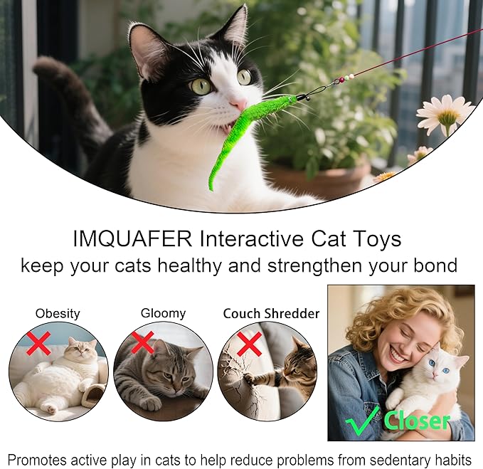 12Pcs Cat Wand Toy - 2 Cat Toy Stick Wand 10 Replacement Teasers with Bells, Interactive Feather Toy for Indoor Cats, Worm Cat Toy Teaser for Bored Adult Cats Kittens Play Chase Exercise