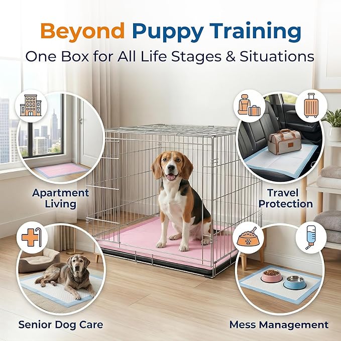 Dog Pee Pads 200 Count (Up to 100 Days) 23x23” – MoMoCo Dual Color (Pink & Blue) Super Absorbent 6-Layer Leak-Proof Puppy Training Pads, Bulk Value Pack for Multi-Pet Homes