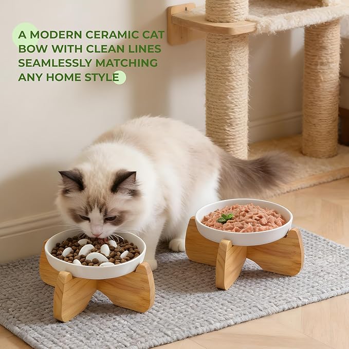 Raised Cat Bowls, 6.3'' Flat & Slow Feeder Bowl, Wide Ceramic Elevated Shallow Slow Eating Cat Bowl for Dry/Wet Food, Anti-Vomiting Pet Puzzle Feeder, Whisker Friendly, Dishwasher Safe (2 Pack)
