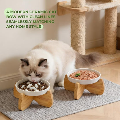 Raised Cat Bowls, 6.3'' Flat & Slow Feeder Bowl, Wide Ceramic Elevated Shallow Slow Eating Cat Bowl for Dry/Wet Food, Anti-Vomiting Pet Puzzle Feeder, Whisker Friendly, Dishwasher Safe (2 Pack)
