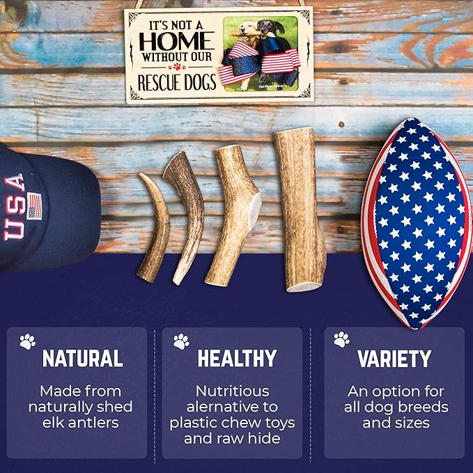 Devil Dog Pet Co - Elk Antler for Dogs Petite 6 Pack - Long Lasting Natural Dog Chew for Toy & Extra Small Breeds - Naturally Shed Grade A Rocky Mountain Elk, Anxiety & Boredom Relief