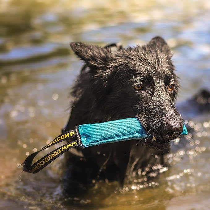 Dingo Cotton tug Toy with Handle, for Catch Retrieving and tug of war, Dog bite Pillow Floating on The Water, Four Colours, S Z30001
