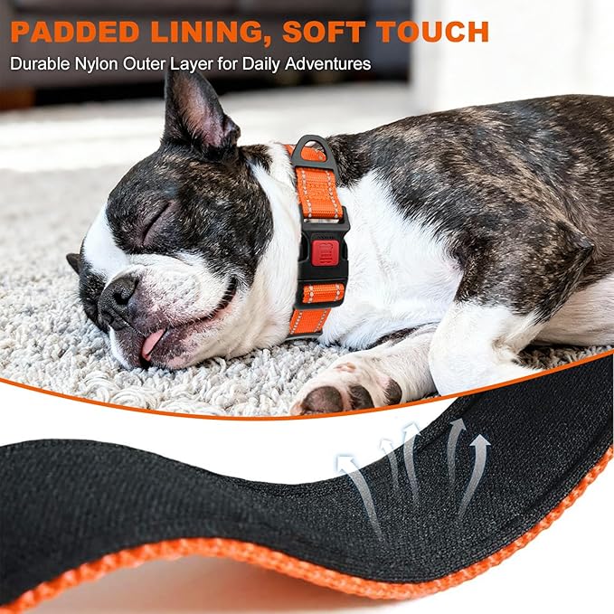 Taglory Reflective Dog Collar with Safety Locking Buckle, Soft Neoprene Padded Dog Collar for Medium Dogs, Metal D-Ring, Adjustable Nylon Neck Strap for Daily Walking, Training & Running, Orange, M