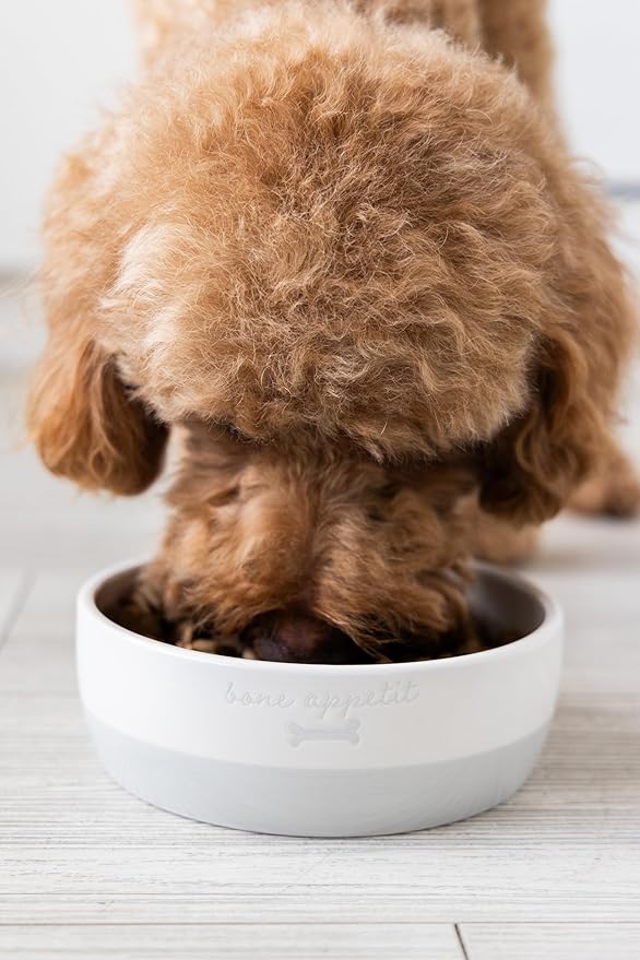 Pearhead Ceramic Bone Appétit Dog Bowl, Stoneware Food and Water Dish, Grey and White Pet Feeder, Small/Medium 2.25 Cups/ 18 oz