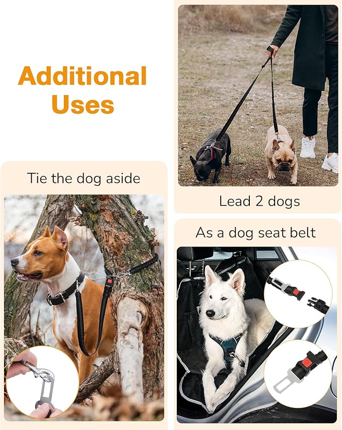 Pecute Dog Leash Hands Free with Pouch, Waist Belt Fanny Pack with Soft Pads, Dual Handles and Durable Bungee for Walking, Dog Seat Belt, Hiking, Running, Training, Orange(Up to 180lbs)