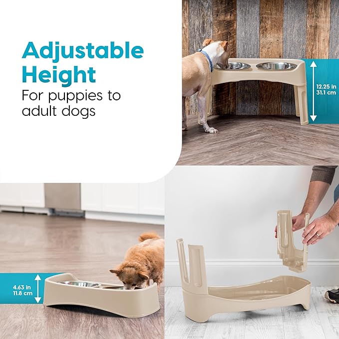 IRIS USA Adjustable Elevated Dog Bowls, Raised Feeder with 2 Stainless Steel 64 oz Bowls, Spill-Guard Rim, 12.25" or 4.63" Heights, Durable Plastic, Made in USA, Almond