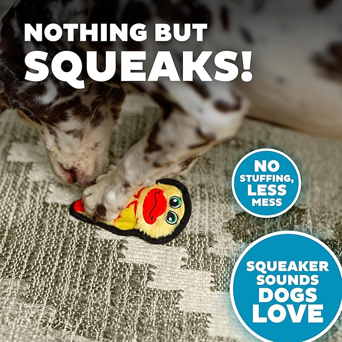 Outward Hound Durablez Minis – Squeaky Plush Dog Toy, No Stuffing for Less Mess, Interactive & Tough, Jumbo Squeaker, Puppies & Small Dogs, Duck, 6"