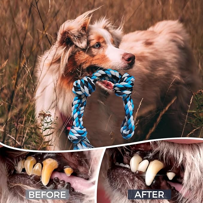 2 Pack Dog Rope Toy for Large Breed Aggressive Chewers, Nearly Indestructible Chew Rope Tug of War Toy, Interactive Toy for Boredom, Teeth Cleaning, 21.65 inch / 13.8 oz