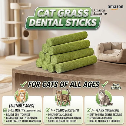 Cat Toys 17Pack 100g Catnip Grass Teething Stick for Hairball Removal Kitten Toy Freeze Dried Chew Dental Food for Indoor Kitty Lickable Edible Snack