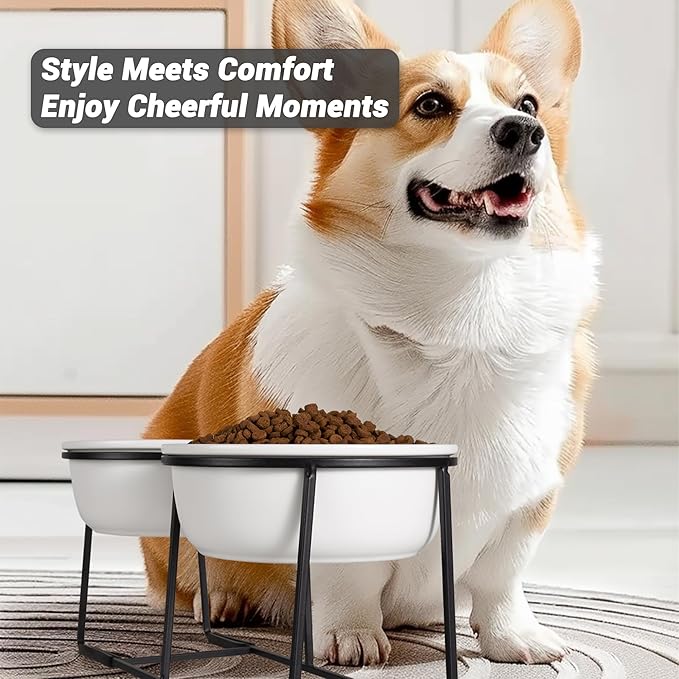 Ceramic Elevated Dog Bowl Set - Raised Food and Water Bowls with Metal Stand - Double Pet Dishes for Small and Medium Dogs - 2 Cups - 27 fl oz - Matte Whit