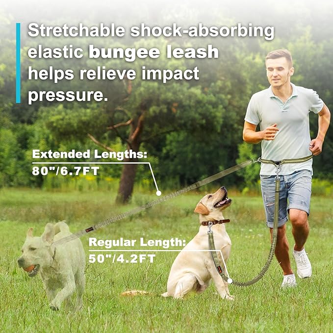 Hands Free Dog Leash, Adjustable Waist Leash for Dog, Handle Bungee 4.2-6.7 Feet Long with Reflective Stitches for Walking Hiking Running, Fits 26"- 47" Waist, Army Green