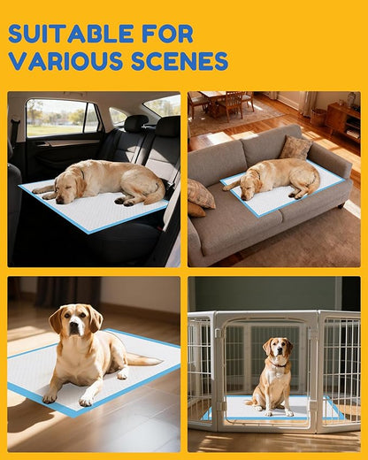100 Count-30" x 36" XXL Puppy Pads, Extra Large Pee Pads for Dogs, Super Absorbent Disposable Dog Training Pads, Quick Drying, Leak-Proof, Ultra Thick Potty Pads for Dogs, Puppies, Doggie, Cats