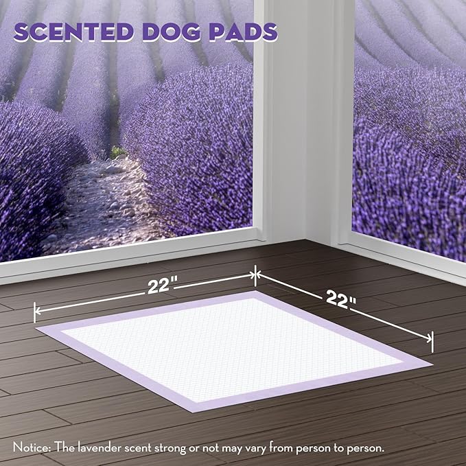 CROCI 22x22in Puppy Pads with Adhesive Tabs, Dog Pee Pads Absorbs Up to 3 Cups Potty Training, Disposable (50 Counts)