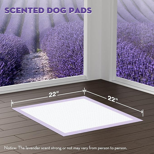 CROCI 22x22in Puppy Pads with Adhesive Tabs, Dog Pee Pads Absorbs Up to 3 Cups Potty Training, Disposable (50 Counts)
