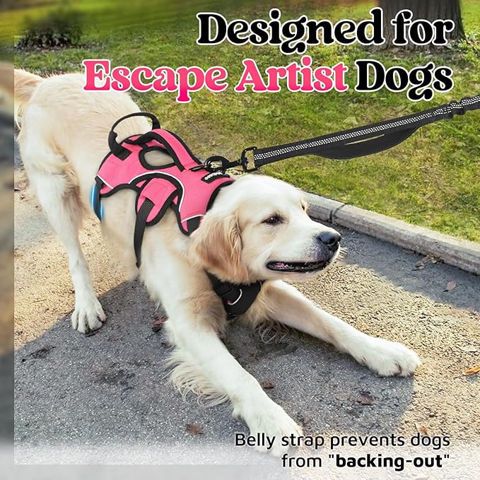 rabbitgoo Escape Proof Dog Harness, Soft Padded Full Body Pet Harness, Reflective Adjustable No Pull Vest with Lift Handle and Leash Clip for Large Dogs Walking Hiking Training, L, Pink