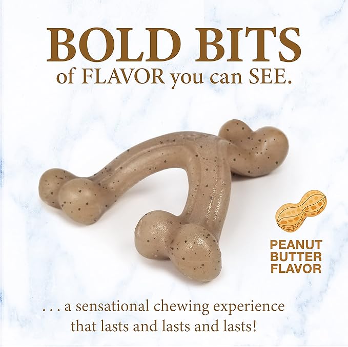 Nylabone Gourmet Style Wishbone Strong Chew Toy for Puppies, Puppy Enrichment Teething Toys, Peanut Butter Flavor, Small Dogs - Up to 25 Ibs, 1 Count