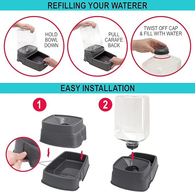 Sport Pet Gravity Feeder and Waterer, Small