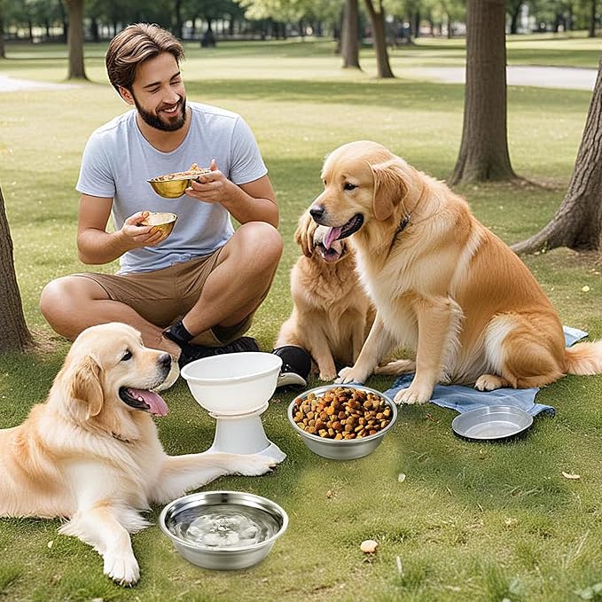 16 Pcs Stainless Steel Dog Bowls, Pets Bowl Metal Dog Cat Food Water Bowl, Replacement Basic Dog Bowls Water Bowls Set, Travel Kennel Food Dish Bowls for Small Medium Large Dogs, Dishwasher Safe