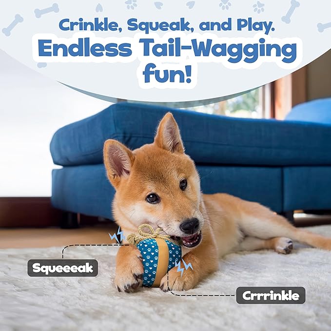 Gift Box Dog Birthday Toy – Cute Plush with Squeaker, Rope & Crinkle, Birthday Gift for Dogs