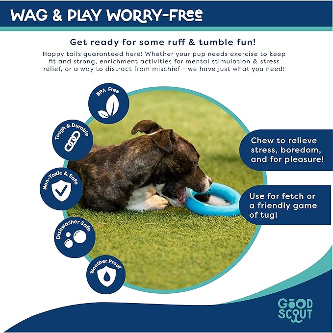 Good Scout Rubber Ring for Tugging & Chewing, Best Fetch Toy for Aggressive Chewers, No Stuffing Toy for Medium & Large Dogs