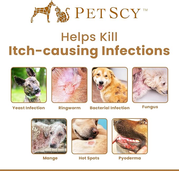 Petscy Keto Skin Travel Wipes - Antiseptic Dog Wipes for Paws, Ears, Facial Folds, Underarms & Other Sensitive Areas for Dogs & Cats – Aloe-Infused, Non-Greasy Formula (Travel)