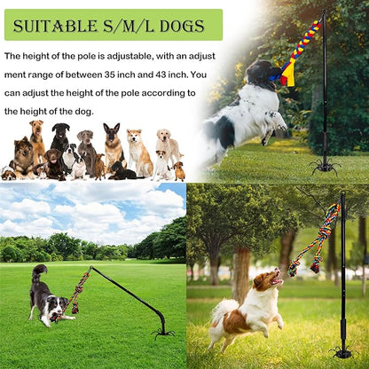 Outdoor Interactive Dog Toys,Tether Outdoor Dog Tug Toy Exercise Equipment in Yard Park with 2 Rope Toy for Large Medium Small Dogs Pull Chase and Tug of War