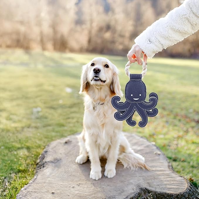 Pavilion Gift Company - Out of Reach - 11.5" Canvas Rope Dog Toy Chew Tug of War Octopus Aquatic Water Sea Ocean Best Friend Dog Doggy Puppy K9 Gift
