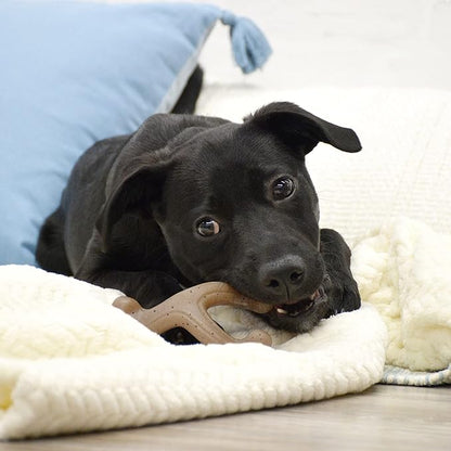 Nylabone Gourmet Style Wishbone Strong Chew Toy for Puppies, Puppy Enrichment Teething Toys, Peanut Butter Flavor, Small Dogs - Up to 25 Ibs, 1 Count