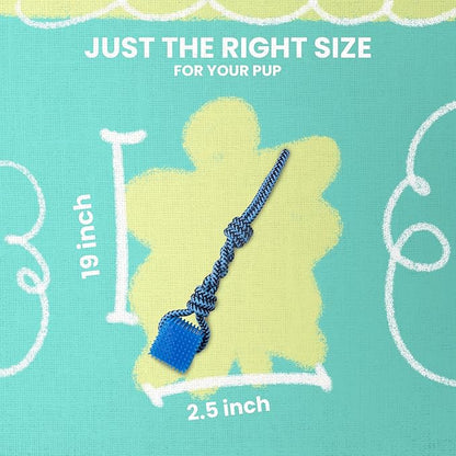 Snugarooz Spike-O-Cube Assorted Colors – Dog Toy with Durable Cotton Rope & Spiky TPR Cube - Ideal for Tugging, Chewing, and Fetch - for Larger Breeds