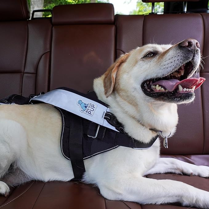 5-in-1 Hands Free Dog Leash – Multi-Function Crossbody Leash with Car Seatbelt, Lift Assist & Storage – Adjustable for Small, Medium & Large Dogs (10–100+ lbs) – Big Old Pup
