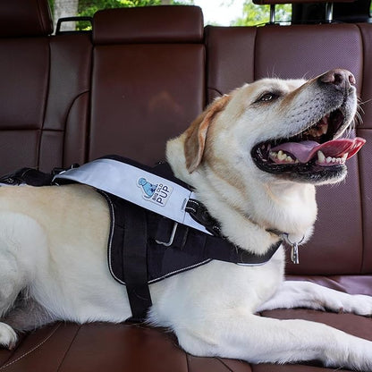 5-in-1 Hands Free Dog Leash – Multi-Function Crossbody Leash with Car Seatbelt, Lift Assist & Storage – Adjustable for Small, Medium & Large Dogs (10–100+ lbs) – Big Old Pup