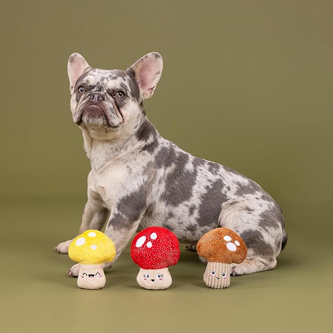 Fringe Studio Plush Dog Toy, 3 Pieces Set, SHROOMING, Pet Shop Collection (662176)